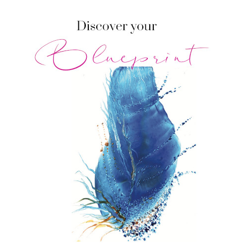 Discover your Blueprint